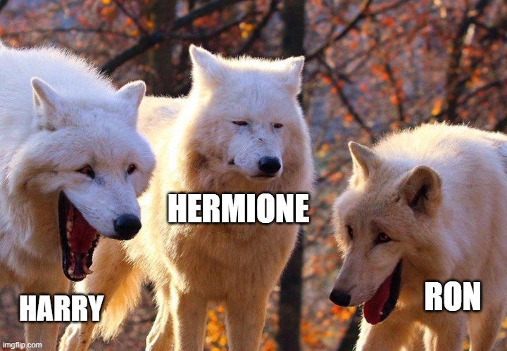 2/3 wolves laugh | HERMIONE; RON; HARRY | image tagged in 2/3 wolves laugh | made w/ Imgflip meme maker