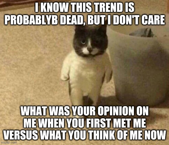 *sigh* why do I always make some sort of typo? | I KNOW THIS TREND IS PROBABLYB DEAD, BUT I DON'T CARE; WHAT WAS YOUR OPINION ON ME WHEN YOU FIRST MET ME VERSUS WHAT YOU THINK OF ME NOW | image tagged in blursed cat | made w/ Imgflip meme maker