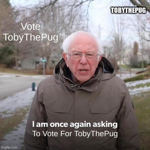 TOBYTHEPUG | TOBYTHEPUG; Vote TobyThePug; To Vote For TobyThePug | image tagged in memes,bernie i am once again asking for your support | made w/ Imgflip meme maker