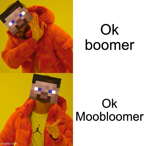 This post was made by the Iceologer Gang | Ok boomer; Ok Moobloomer | image tagged in memes,drake hotline bling | made w/ Imgflip meme maker