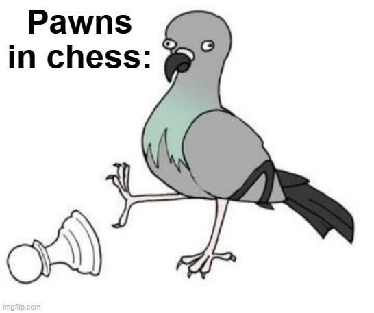 Do not estimate the humble pawn, young pigeon. | Pawns in chess: | image tagged in pigeon chess no text,chess,pawn | made w/ Imgflip meme maker