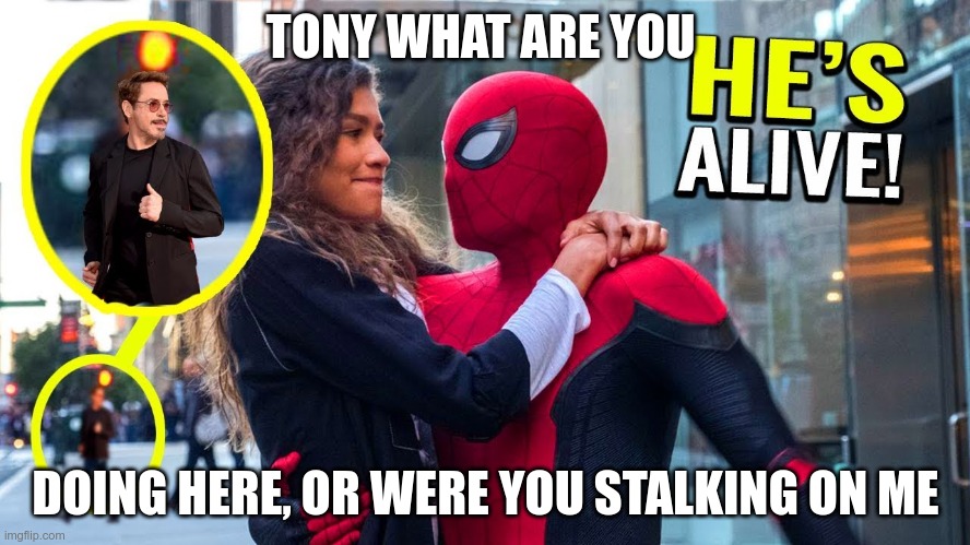 Tony, alive, no way. | TONY WHAT ARE YOU; DOING HERE, OR WERE YOU STALKING ON ME | image tagged in marvel cinematic universe,marvel,spiderman | made w/ Imgflip meme maker