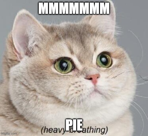 Heavy Breathing Cat | MMMMMMM; PIE | image tagged in memes,heavy breathing cat | made w/ Imgflip meme maker