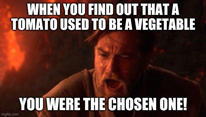 You Were The Chosen One (Star Wars) | WHEN YOU FIND OUT THAT A TOMATO USED TO BE A VEGETABLE; YOU WERE THE CHOSEN ONE! | image tagged in memes,you were the chosen one star wars,reality | made w/ Imgflip meme maker