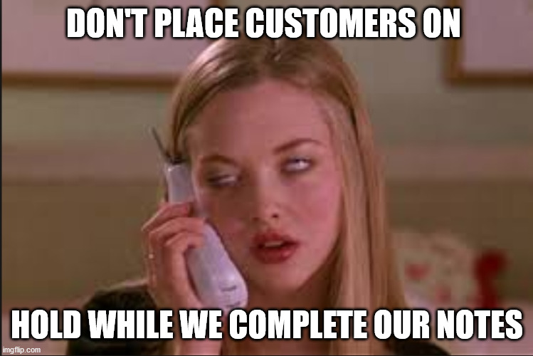 Thank You For Being a Valued Customer | DON'T PLACE CUSTOMERS ON; HOLD WHILE WE COMPLETE OUR NOTES | image tagged in holding,on hold,task failed successfully,hold on | made w/ Imgflip meme maker
