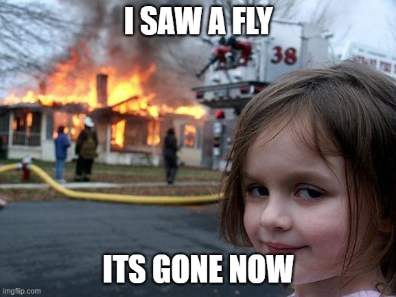 Disaster Girl Meme | I SAW A FLY; ITS GONE NOW | image tagged in memes,disaster girl | made w/ Imgflip meme maker