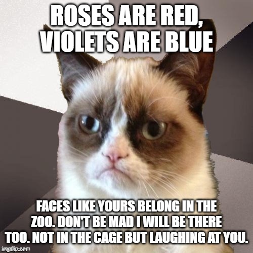 Musically Malicious Grumpy Cat | ROSES ARE RED, VIOLETS ARE BLUE; FACES LIKE YOURS BELONG IN THE ZOO. DON'T BE MAD I WILL BE THERE TOO. NOT IN THE CAGE BUT LAUGHING AT YOU. | image tagged in musically malicious grumpy cat,grumpy cat,repost,memes,cats,meme | made w/ Imgflip meme maker