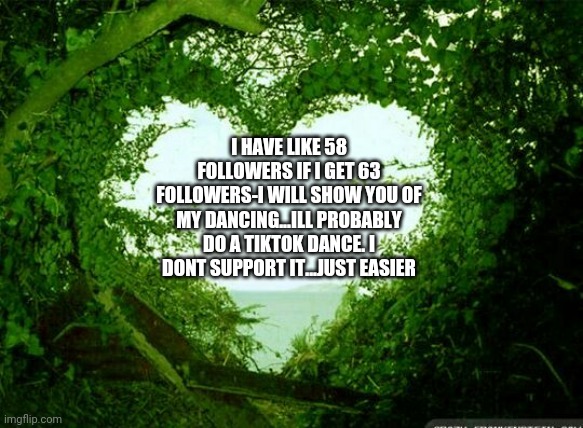 Cayde! Dont trick me again with my followers! | I HAVE LIKE 58 FOLLOWERS IF I GET 63 FOLLOWERS-I WILL SHOW YOU OF MY DANCING...ILL PROBABLY DO A TIKTOK DANCE. I DONT SUPPORT IT...JUST EASIER | image tagged in nature heart | made w/ Imgflip meme maker