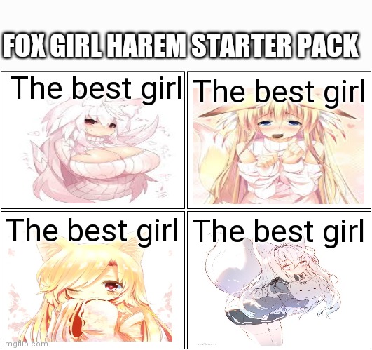 Because I will never be able to choose only one best girl | FOX GIRL HAREM STARTER PACK; The best girl; The best girl; The best girl; The best girl | image tagged in memes,blank comic panel 2x2 | made w/ Imgflip meme maker