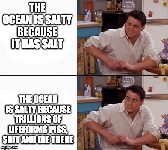 Comprehending Joey | THE OCEAN IS SALTY BECAUSE IT HAS SALT; THE OCEAN IS SALTY BECAUSE TRILLIONS OF LIFEFORMS PISS, SHIT AND DIE THERE | image tagged in comprehending joey | made w/ Imgflip meme maker