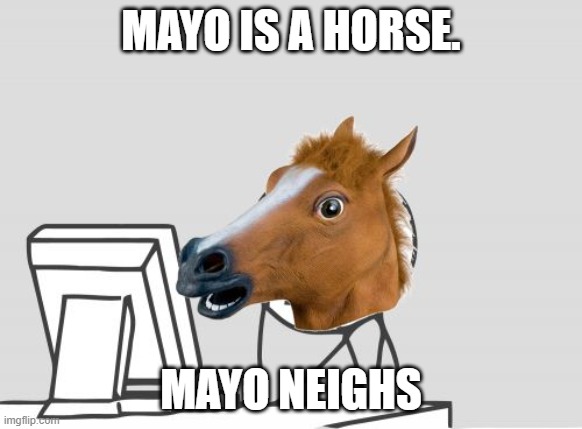 Mayo | MAYO IS A HORSE. MAYO NEIGHS | image tagged in memes,computer horse | made w/ Imgflip meme maker