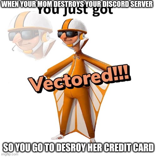 Vectored! | WHEN YOUR MOM DESTROYS YOUR DISCORD SERVER; SO YOU GO TO DESROY HER CREDIT CARD | image tagged in you just got vectored | made w/ Imgflip meme maker