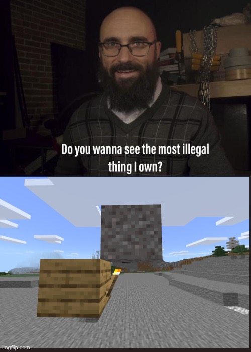 Minecraft | image tagged in do you want to see the most illegal thing i own | made w/ Imgflip meme maker