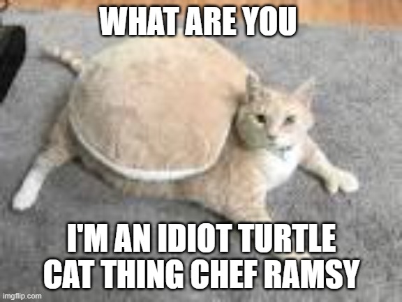 pickl3bro | WHAT ARE YOU; I'M AN IDIOT TURTLE CAT THING CHEF RAMSY | image tagged in mom | made w/ Imgflip meme maker