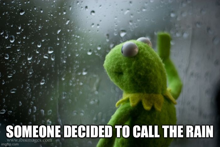 kermit window | SOMEONE DECIDED TO CALL THE RAIN | image tagged in kermit window | made w/ Imgflip meme maker