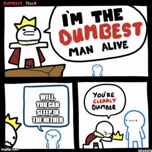 I'm the dumbest man alive | WELL, YOU CAN SLEEP IN THE NETHER | image tagged in i'm the dumbest man alive,minecraft | made w/ Imgflip meme maker