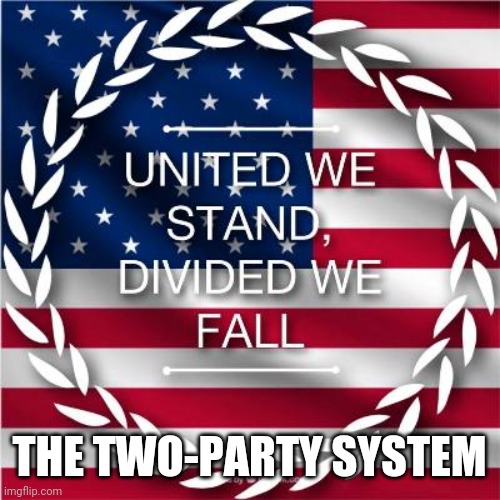 THE TWO-PARTY SYSTEM | image tagged in politics,two-party system | made w/ Imgflip meme maker