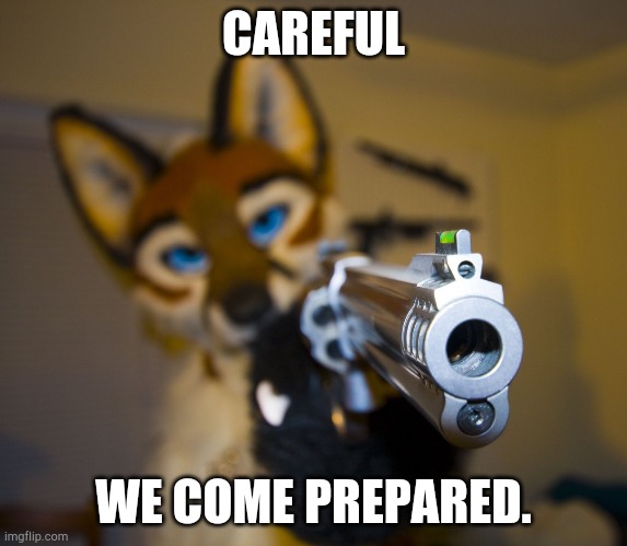 Furry with gun | CAREFUL WE COME PREPARED. | image tagged in furry with gun | made w/ Imgflip meme maker