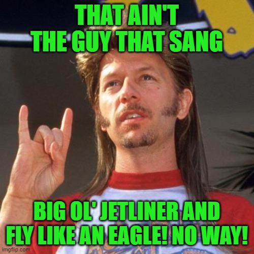 I'm a Rocker | THAT AIN'T THE GUY THAT SANG BIG OL' JETLINER AND FLY LIKE AN EAGLE! NO WAY! | image tagged in i'm a rocker | made w/ Imgflip meme maker