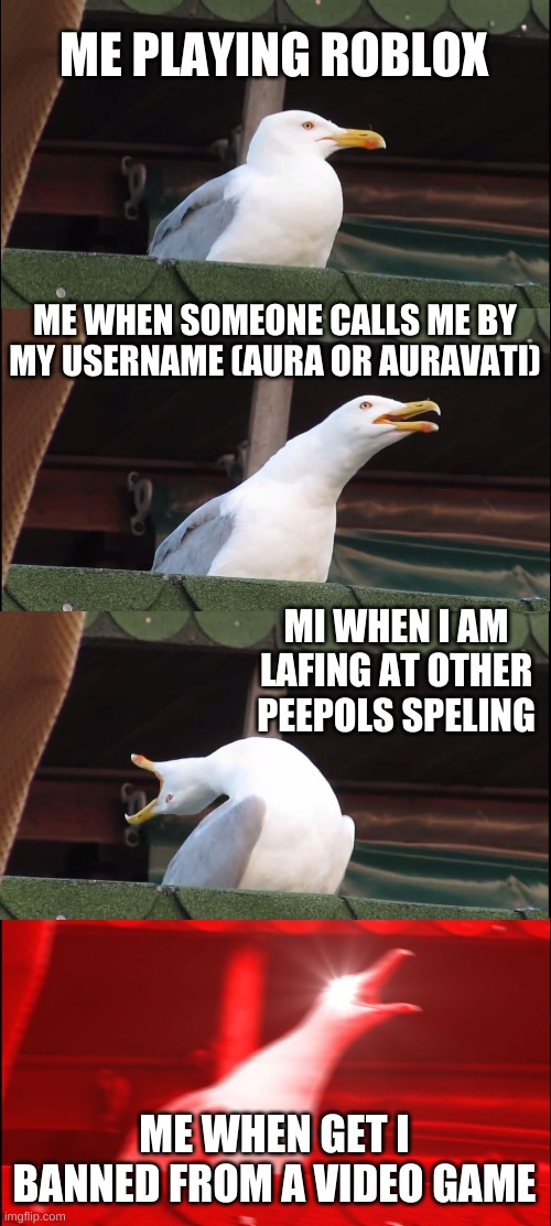 Inhaling Seagull | ME PLAYING ROBLOX; ME WHEN SOMEONE CALLS ME BY MY USERNAME (AURA OR AURAVATI); MI WHEN I AM LAFING AT OTHER PEEPOLS SPELING; ME WHEN GET I BANNED FROM A VIDEO GAME | image tagged in memes,inhaling seagull | made w/ Imgflip meme maker