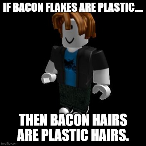 ROBLOX Meme | IF BACON FLAKES ARE PLASTIC.... THEN BACON HAIRS ARE PLASTIC HAIRS. | image tagged in roblox meme | made w/ Imgflip meme maker