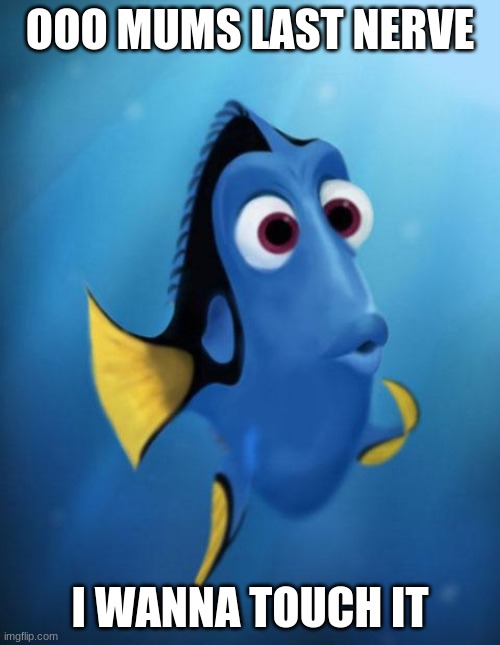 Dory | OOO MUMS LAST NERVE; I WANNA TOUCH IT | image tagged in dory | made w/ Imgflip meme maker
