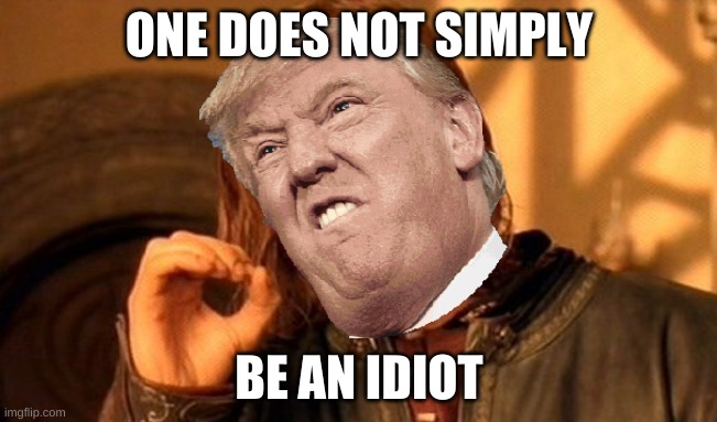 One Does Not Simply | ONE DOES NOT SIMPLY; BE AN IDIOT | image tagged in memes,one does not simply | made w/ Imgflip meme maker