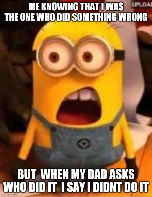srry a little too long but its so true | ME KNOWING THAT I WAS THE ONE WHO DID SOMETHING WRONG; BUT  WHEN MY DAD ASKS WHO DID IT  I SAY I DIDNT DO IT | image tagged in whaaat,minions | made w/ Imgflip meme maker