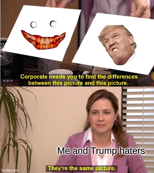 They're The Same Picture | Me and Trump haters | image tagged in memes,they're the same picture | made w/ Imgflip meme maker