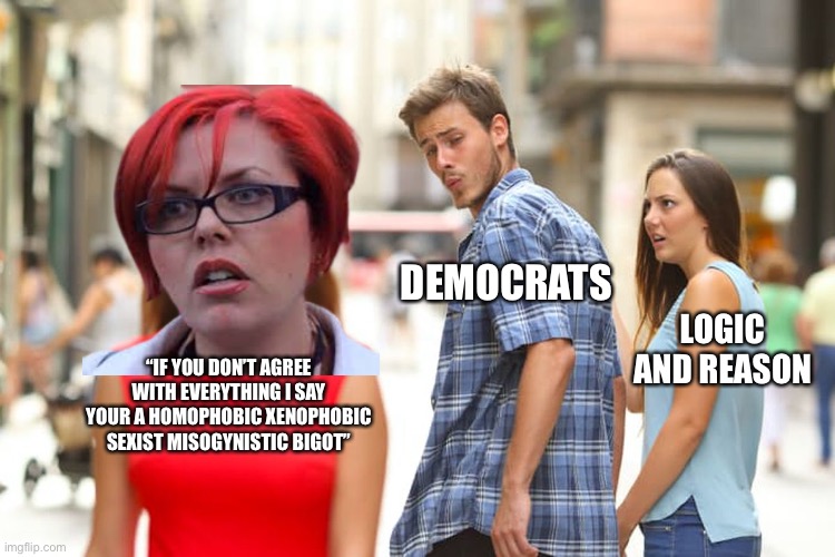 Distracted Boyfriend | DEMOCRATS; LOGIC AND REASON; “IF YOU DON’T AGREE WITH EVERYTHING I SAY YOUR A HOMOPHOBIC XENOPHOBIC SEXIST MISOGYNISTIC BIGOT” | image tagged in memes,distracted boyfriend,republicans,democrats,hate speech,opinions | made w/ Imgflip meme maker