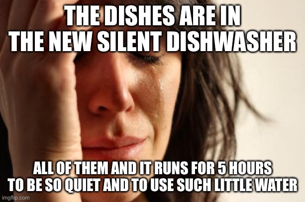 First World Problems Meme | THE DISHES ARE IN THE NEW SILENT DISHWASHER ALL OF THEM AND IT RUNS FOR 5 HOURS TO BE SO QUIET AND TO USE SUCH LITTLE WATER | image tagged in memes,first world problems | made w/ Imgflip meme maker