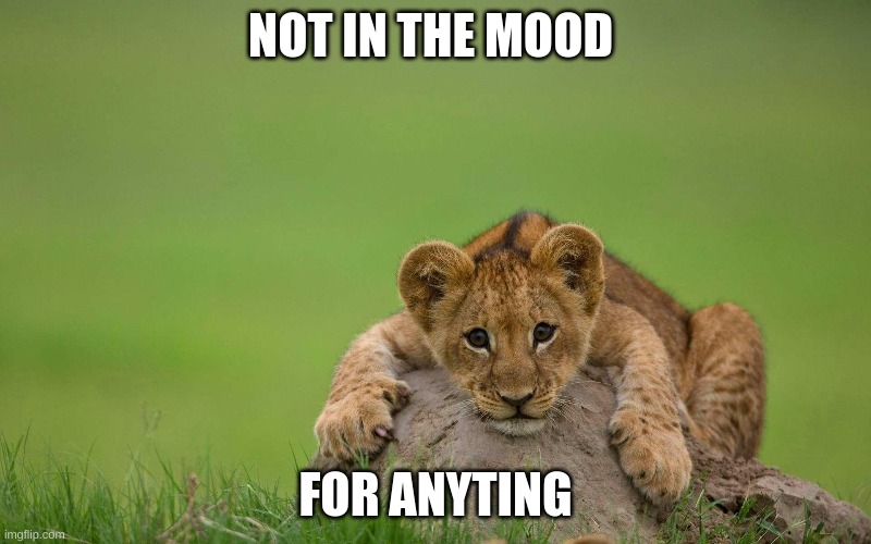 me | NOT IN THE MOOD; FOR ANYTING | image tagged in what if i told you | made w/ Imgflip meme maker