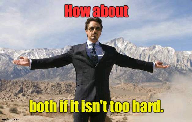 Friday Tony Stark | How about both if it isn't too hard. | image tagged in friday tony stark | made w/ Imgflip meme maker