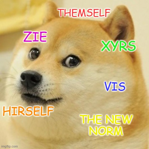 The New Pronouns of Society...What's Next? | THEMSELF; ZIE; XYRS; VIS; HIRSELF; THE NEW
NORM | image tagged in memes,doge,transgender,pronunciation,grammar,new | made w/ Imgflip meme maker