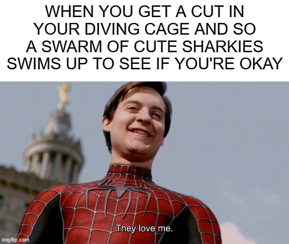 They Love Me | WHEN YOU GET A CUT IN YOUR DIVING CAGE AND SO A SWARM OF CUTE SHARKIES SWIMS UP TO SEE IF YOU'RE OKAY | image tagged in they love me | made w/ Imgflip meme maker