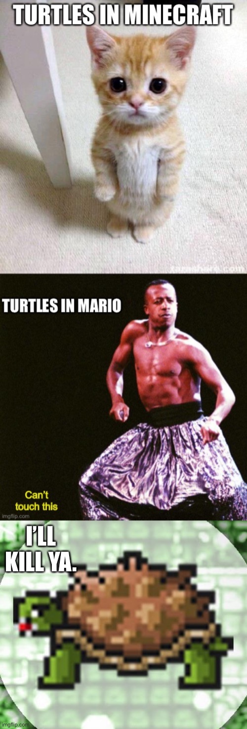 Turtles of different personalities. | I’LL KILL YA. | image tagged in turtles | made w/ Imgflip meme maker