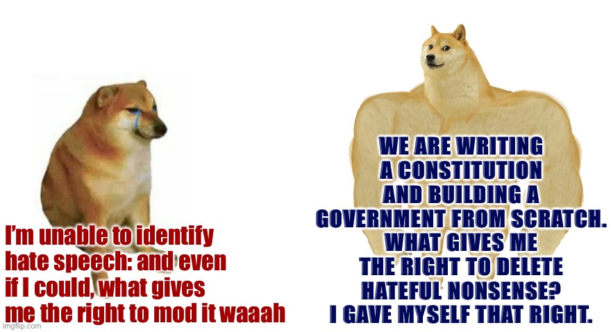 A tale of two government streams (not naming names) | WE ARE WRITING A CONSTITUTION AND BUILDING A GOVERNMENT FROM SCRATCH. WHAT GIVES ME THE RIGHT TO DELETE HATEFUL NONSENSE? I GAVE MYSELF THAT RIGHT. I’m unable to identify hate speech: and even if I could, what gives me the right to mod it waaah | image tagged in swole doge vs cheems flipped,free speech,hate speech,government,meanwhile on imgflip,imgflip trends | made w/ Imgflip meme maker