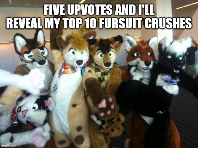 Ye | FIVE UPVOTES AND I'LL REVEAL MY TOP 10 FURSUIT CRUSHES | image tagged in furries,fursuit,furry | made w/ Imgflip meme maker