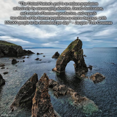 Population control/reduction - Imgflip