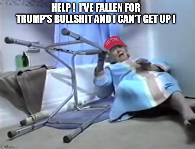 life alert | HELP !  I'VE FALLEN FOR TRUMP'S BULLSHIT AND I CAN'T GET UP ! | image tagged in life alert,old lady,trump supporters,clown car republicans,walkers,disabled | made w/ Imgflip meme maker