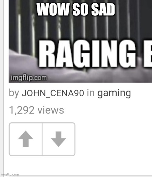 I have no upvotes but over 1000 views | WOW SO SAD | image tagged in no upvotes | made w/ Imgflip meme maker