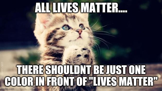 Praying cat | ALL LIVES MATTER.... THERE SHOULDNT BE JUST ONE COLOR IN FRONT OF "LIVES MATTER" | image tagged in praying cat | made w/ Imgflip meme maker