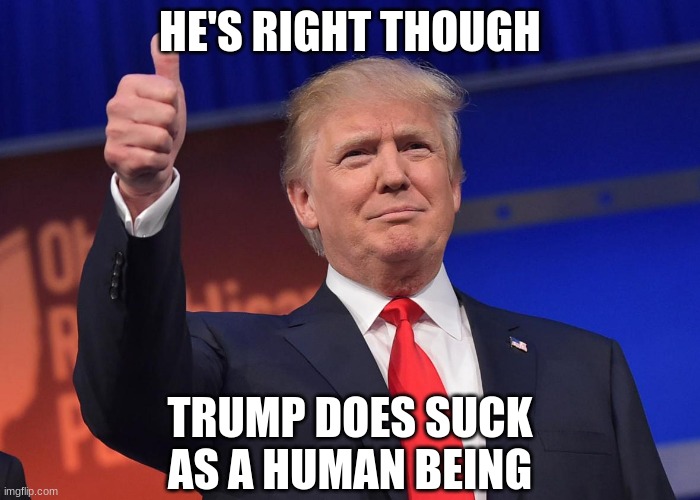 donald trump | HE'S RIGHT THOUGH TRUMP DOES SUCK AS A HUMAN BEING | image tagged in donald trump | made w/ Imgflip meme maker