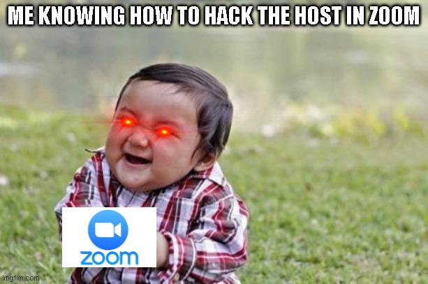 HAcking zoom? | ME KNOWING HOW TO HACK THE HOST IN ZOOM | image tagged in memes,evil toddler | made w/ Imgflip meme maker
