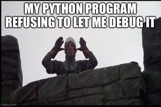 French Taunting in Monty Python's Holy Grail | MY PYTHON PROGRAM REFUSING TO LET ME DEBUG IT | image tagged in french taunting in monty python's holy grail | made w/ Imgflip meme maker