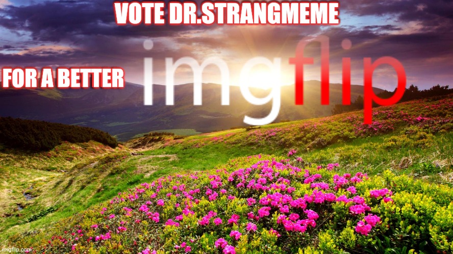 Field of Flowers | VOTE DR.STRANGMEME FOR A BETTER VOTE DR.STRANGMEME FOR A BETTER | image tagged in field of flowers | made w/ Imgflip meme maker