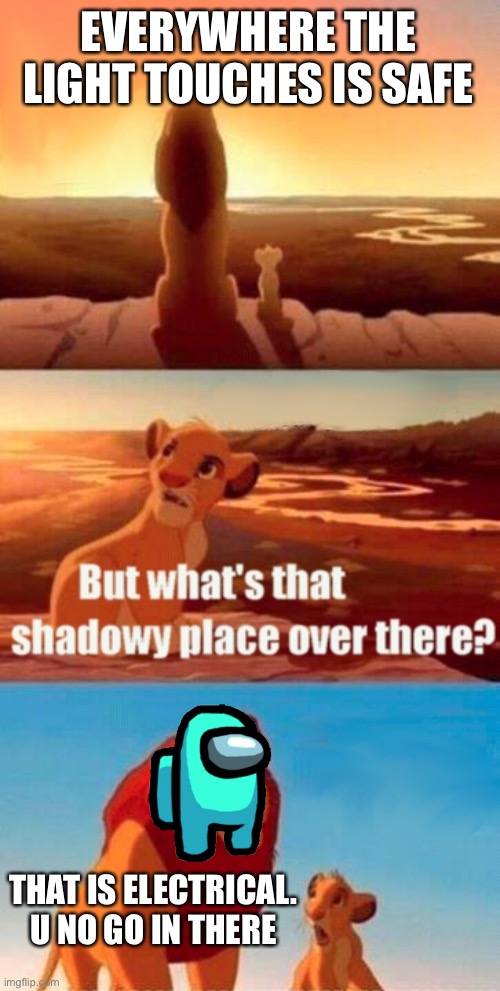 Simba Shadowy Place | EVERYWHERE THE LIGHT TOUCHES IS SAFE; THAT IS ELECTRICAL. U NO GO IN THERE | image tagged in memes,simba shadowy place | made w/ Imgflip meme maker