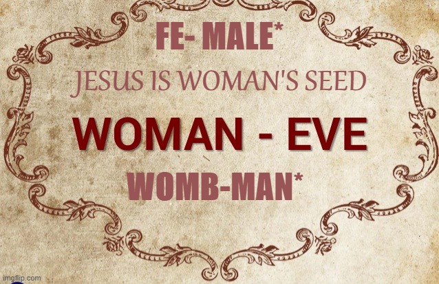 Jesus The Seed Of The Womb Man | FE- MALE*; JESUS IS WOMAN'S SEED; WOMB-MAN* | image tagged in story time jesus,jesus,god | made w/ Imgflip meme maker