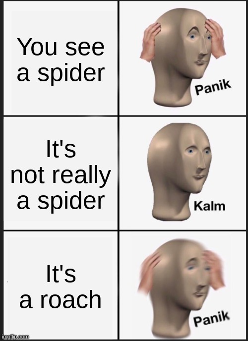 Panik Kalm Panik Meme | You see a spider; It's not really a spider; It's a roach | image tagged in memes,panik kalm panik | made w/ Imgflip meme maker