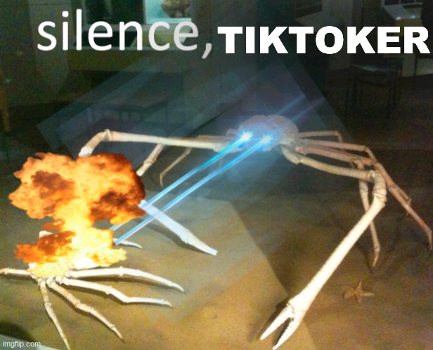 Silence Crab | TIKTOKER | image tagged in silence crab | made w/ Imgflip meme maker